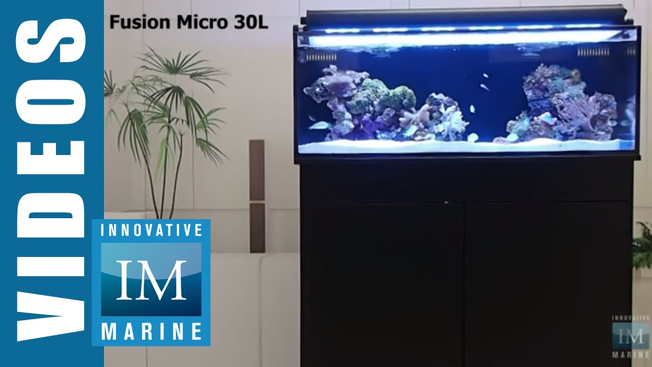 Innovative Marine maakt all-in-one shallow reef nano aquarium