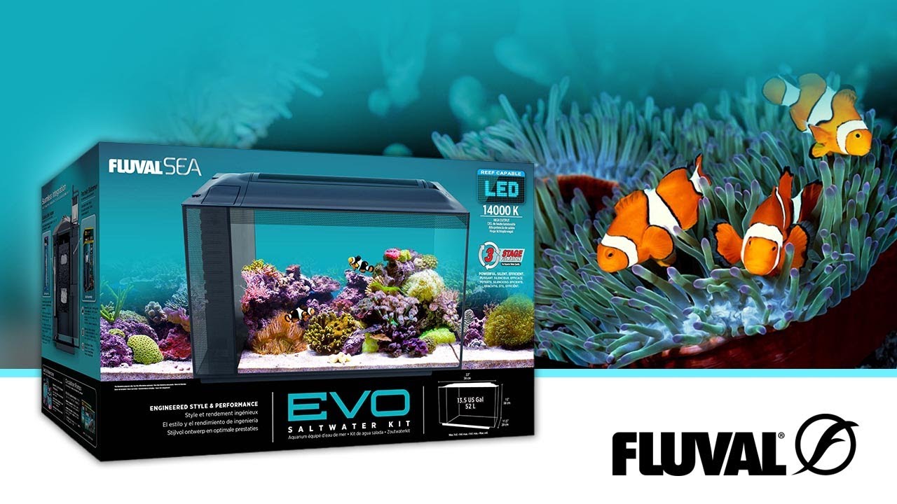 Nieuwe beelden van Fluval Evo-aquaria