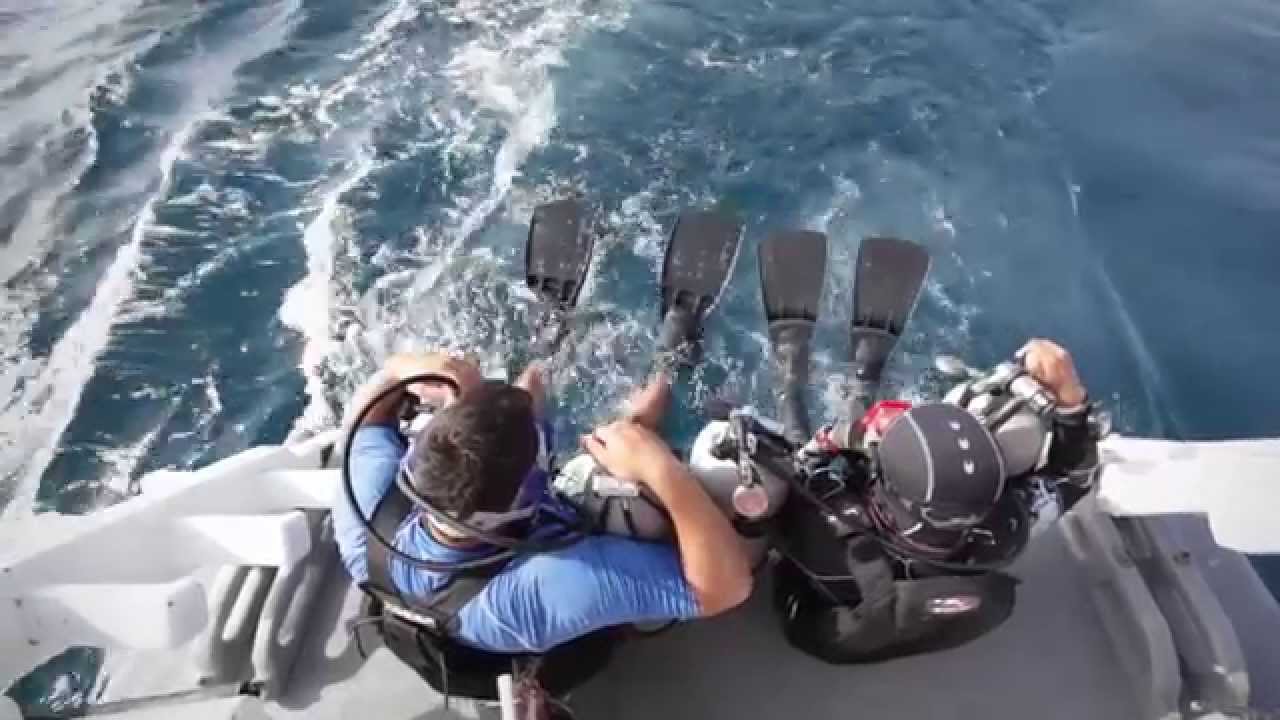 Een dag in het leven van marine biologen