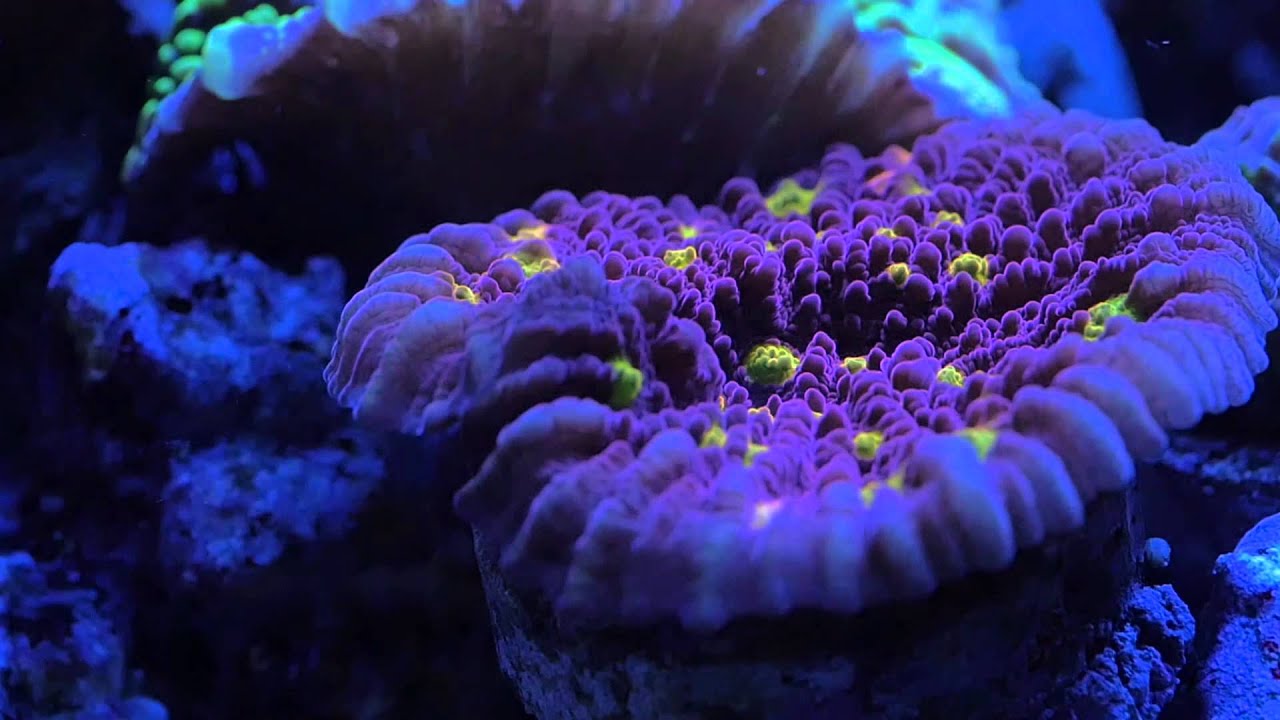 Kessil onthult AP700 armatuur