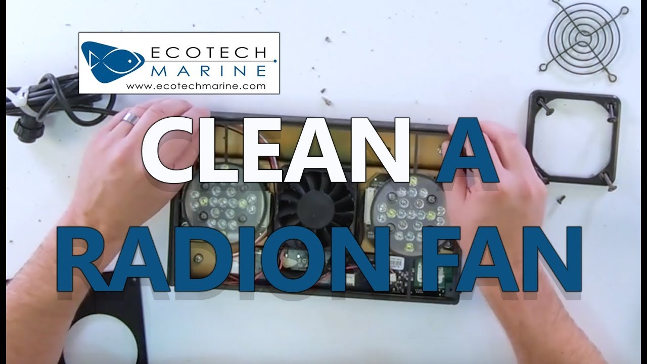 Zo kuist u een EcoTech Radion