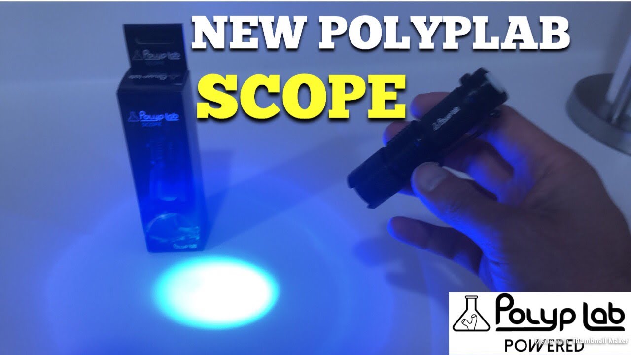 Polyp lab zet eigen naam op Chinese zaklamp