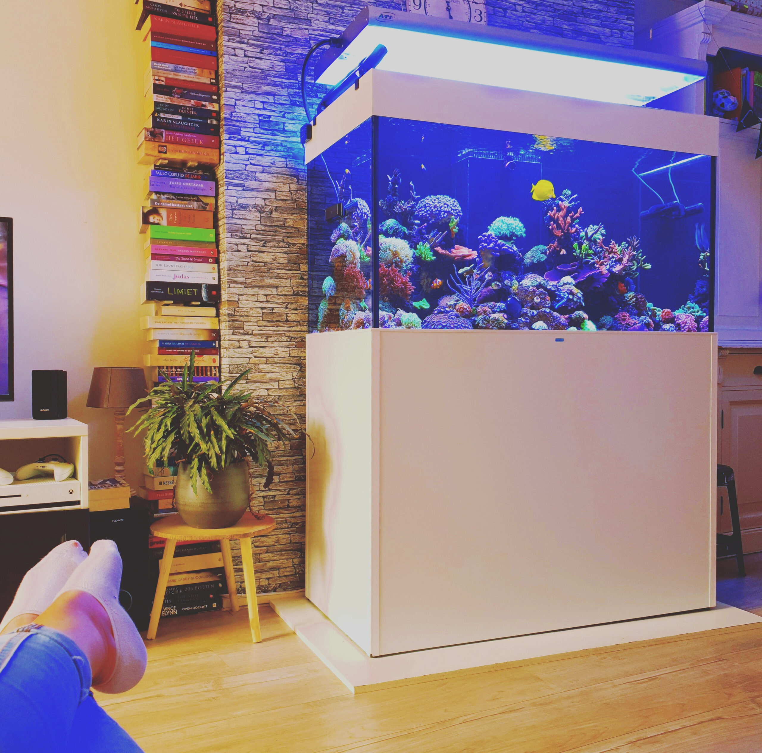 Koppel houdt samen een gezinsaquarium: “Hij doet het meeste onderhoud”