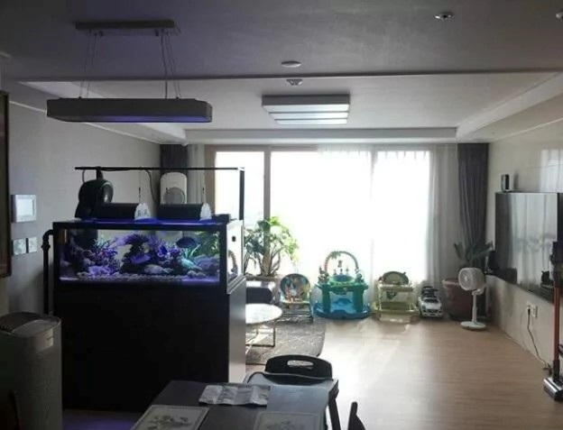 Zeewaternieuws vond en sprak met de man achter dit aquarium