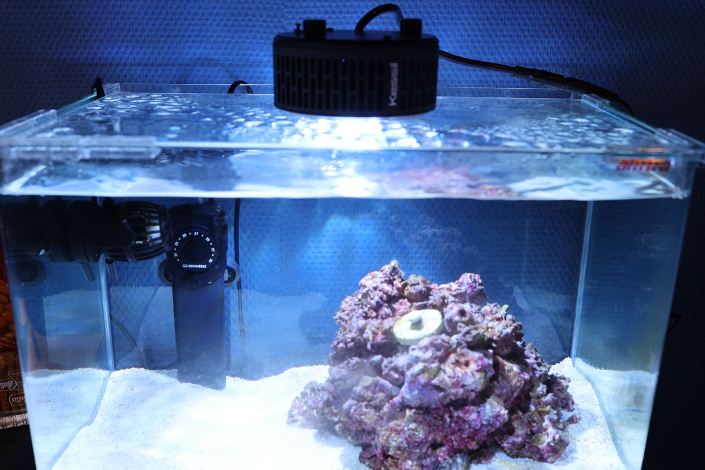 Enkele kleurweergaven van de Kessil A360X boven een veel te klein aquarium © Zeewaternieuws