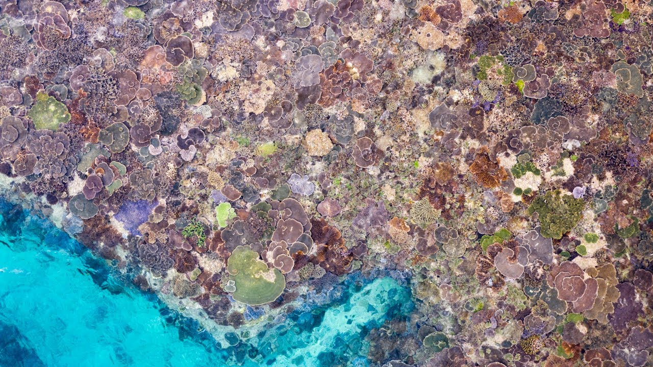 Dronebeelden tonen riffen van Okinawa, Japan