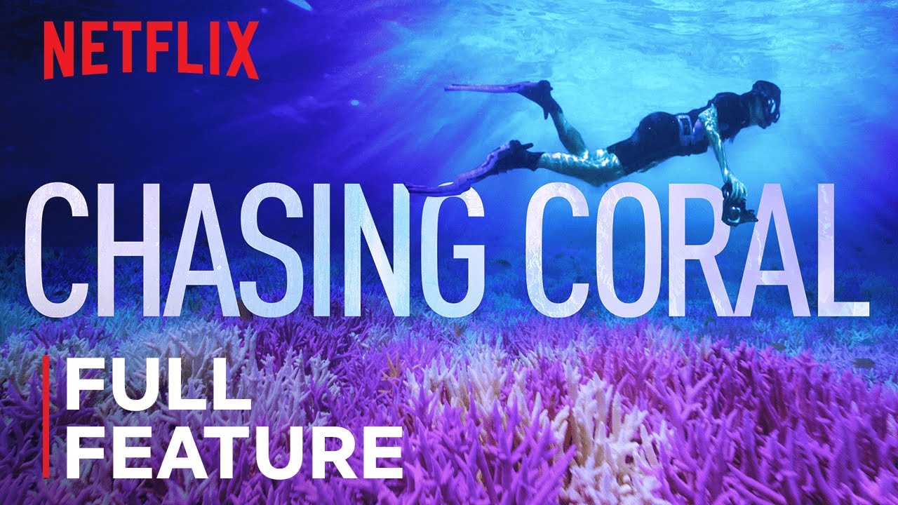 Film Chasing Coral nu gratis te bekijken