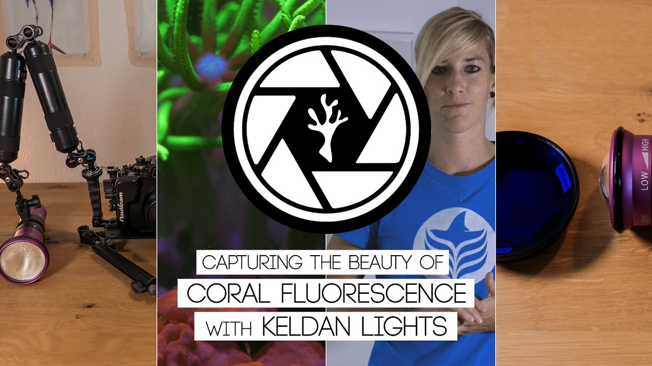Hoe kunt u fluorescentie optimaal filmen?