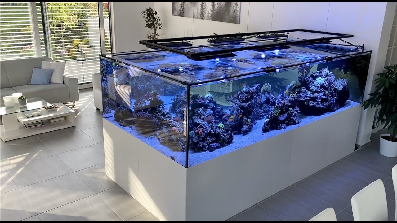Duits aquarium heeft eigen techniekkamer