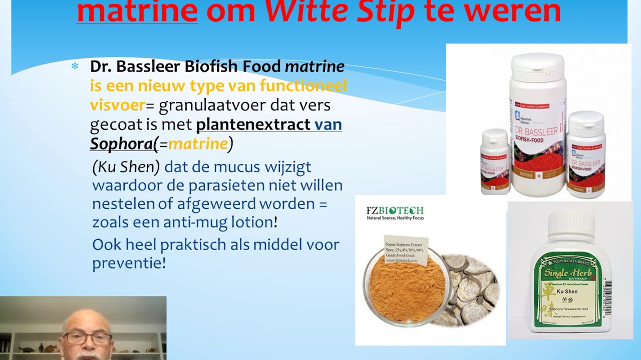 Expert Gerald Bassleer geeft diepgaande uitleg over Witte Stip