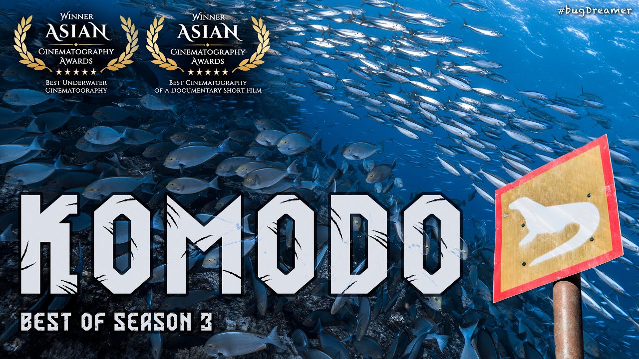 Duiken bij de Komodo’s