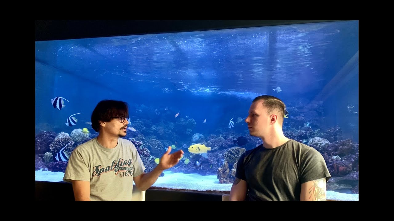 Massief Duits aquarium