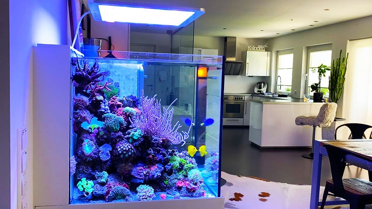 Ultrastil aquarium laat je uitslapen
