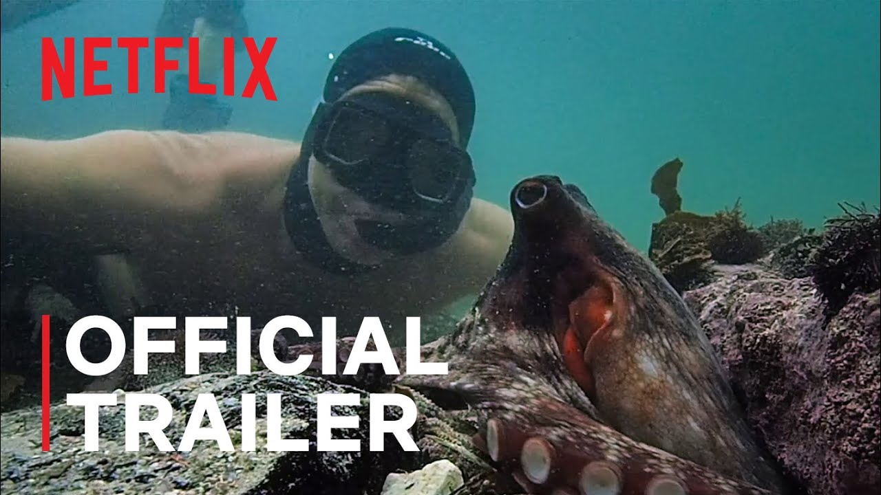 Octopus als leraar in Netflix-film