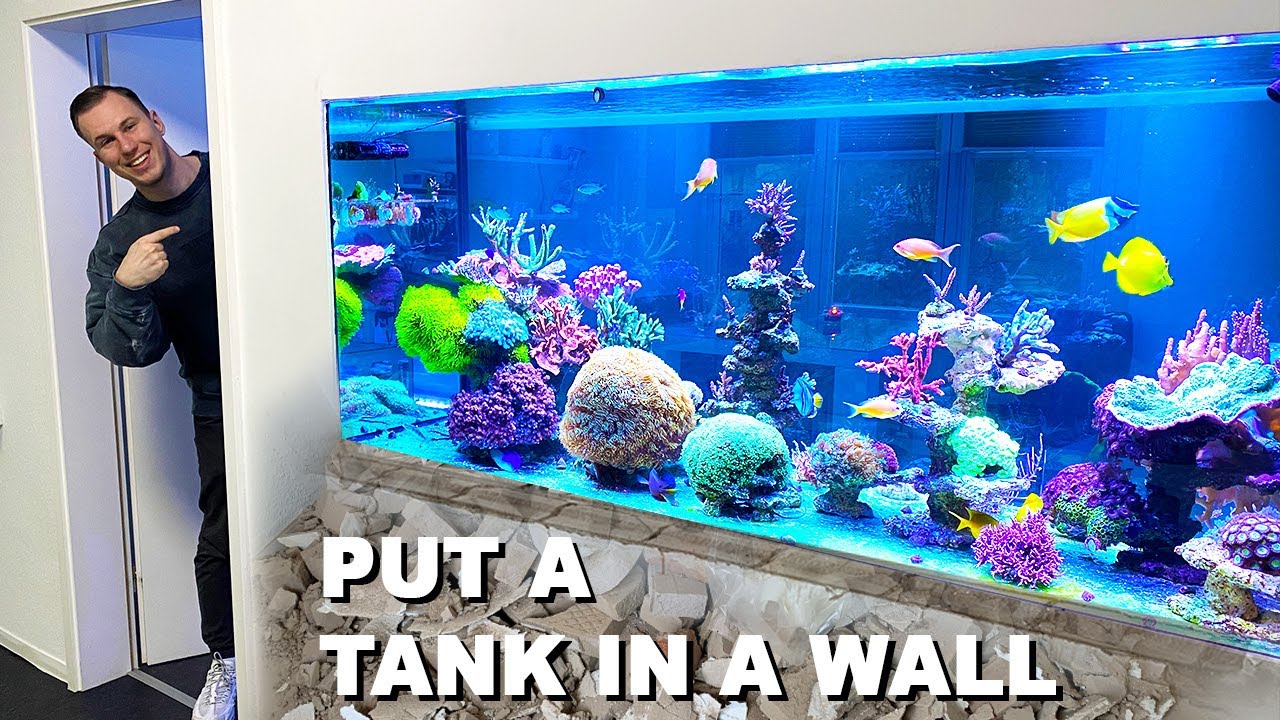 Een korte how-to: aquarium inbouwen