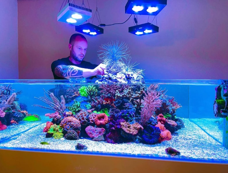 Het vulkaanaquarium – de nieuwe generatie