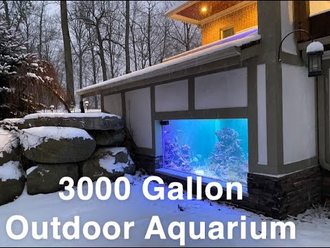 De constructie van een 11.000 liter groot aquarium