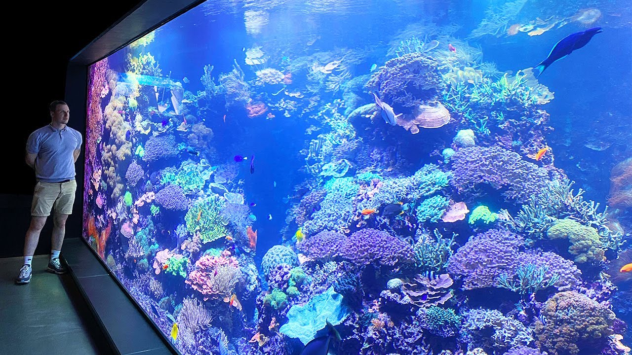 Binnenkijken bij een 65.000 liter aquarium