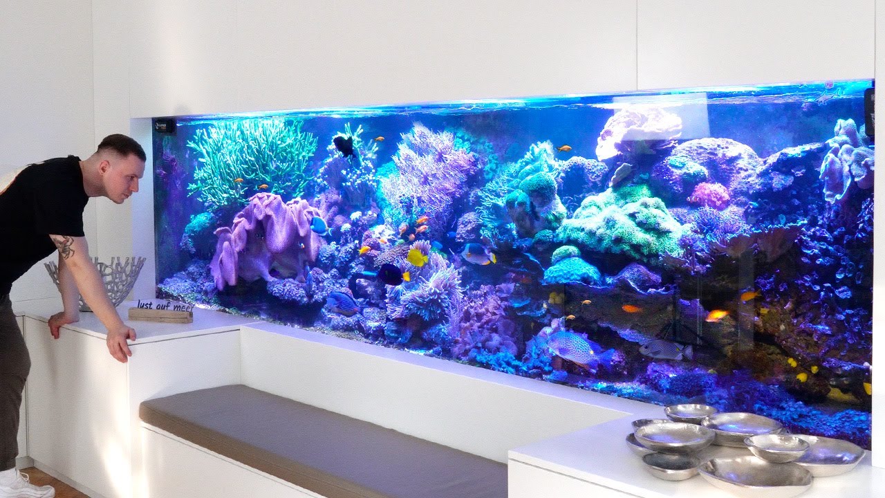 4000 liter droomaquarium is attractie voor gasten