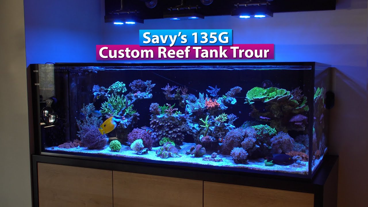 500 liter aquarium gooit hoge ogen