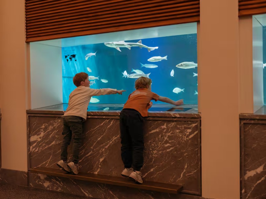 Amsterdams aquarium heropent na renovatie van 50 miljoen euro