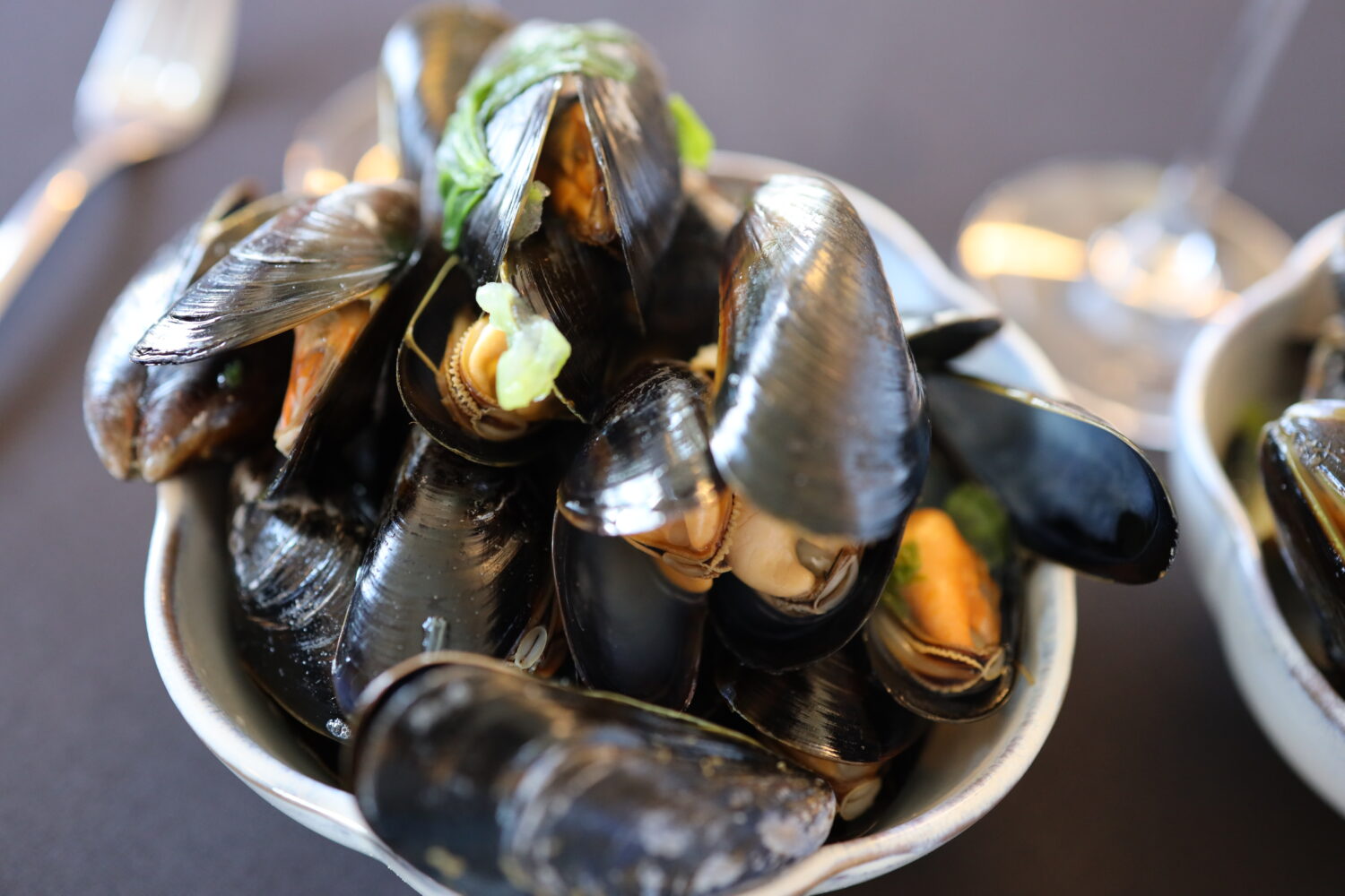 Eerste Belgische mossel gelanceerd