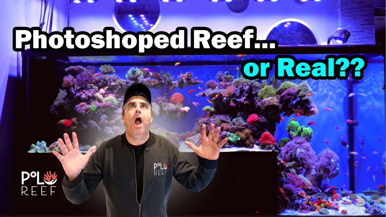 Een 3400 liter groot drop-off aquarium