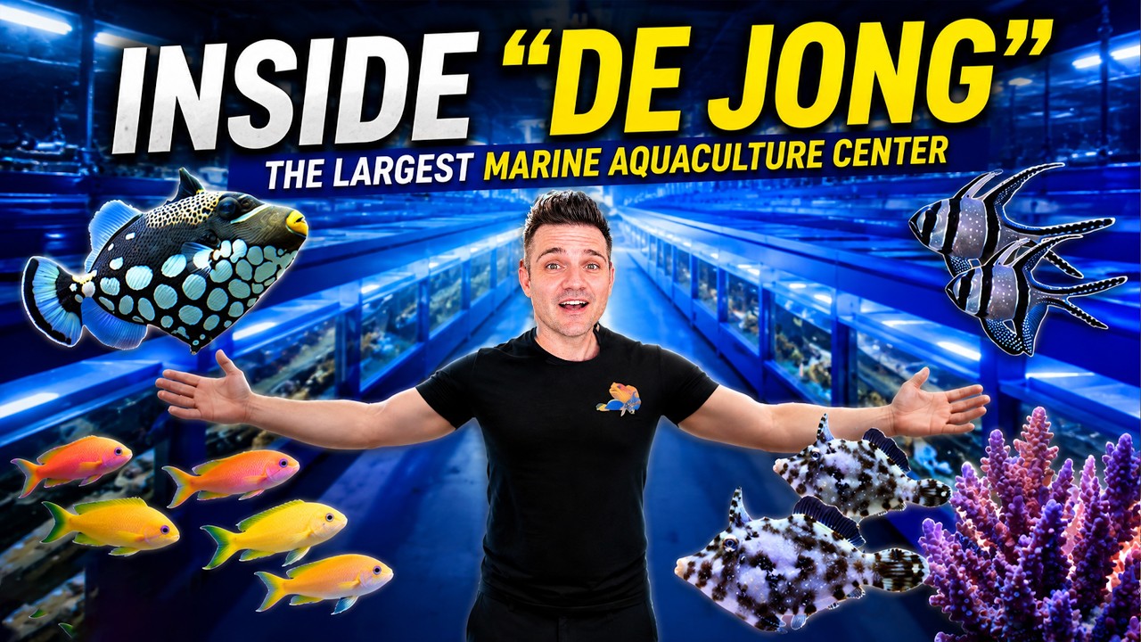 Kijk binnen bij De Jong Marinelife