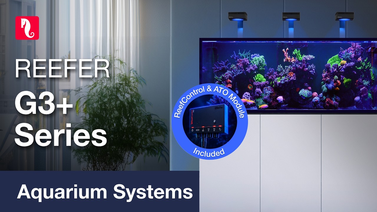 Red Sea Reefer G3+ aangekondigd